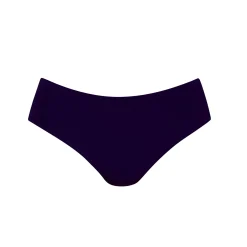 Anita Comfort Bikini Bottom