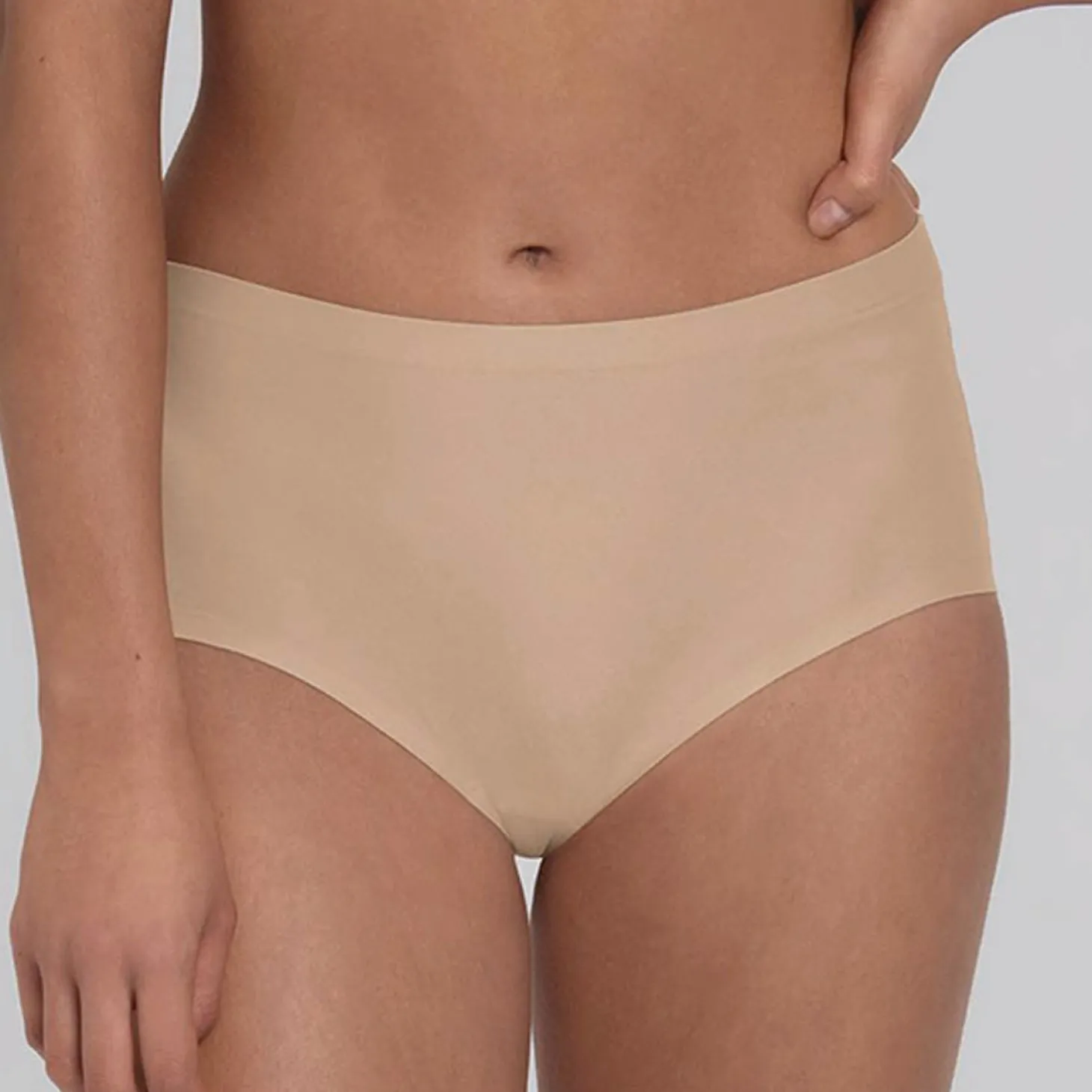 Anita Essentials Seamless High Waist Briefs