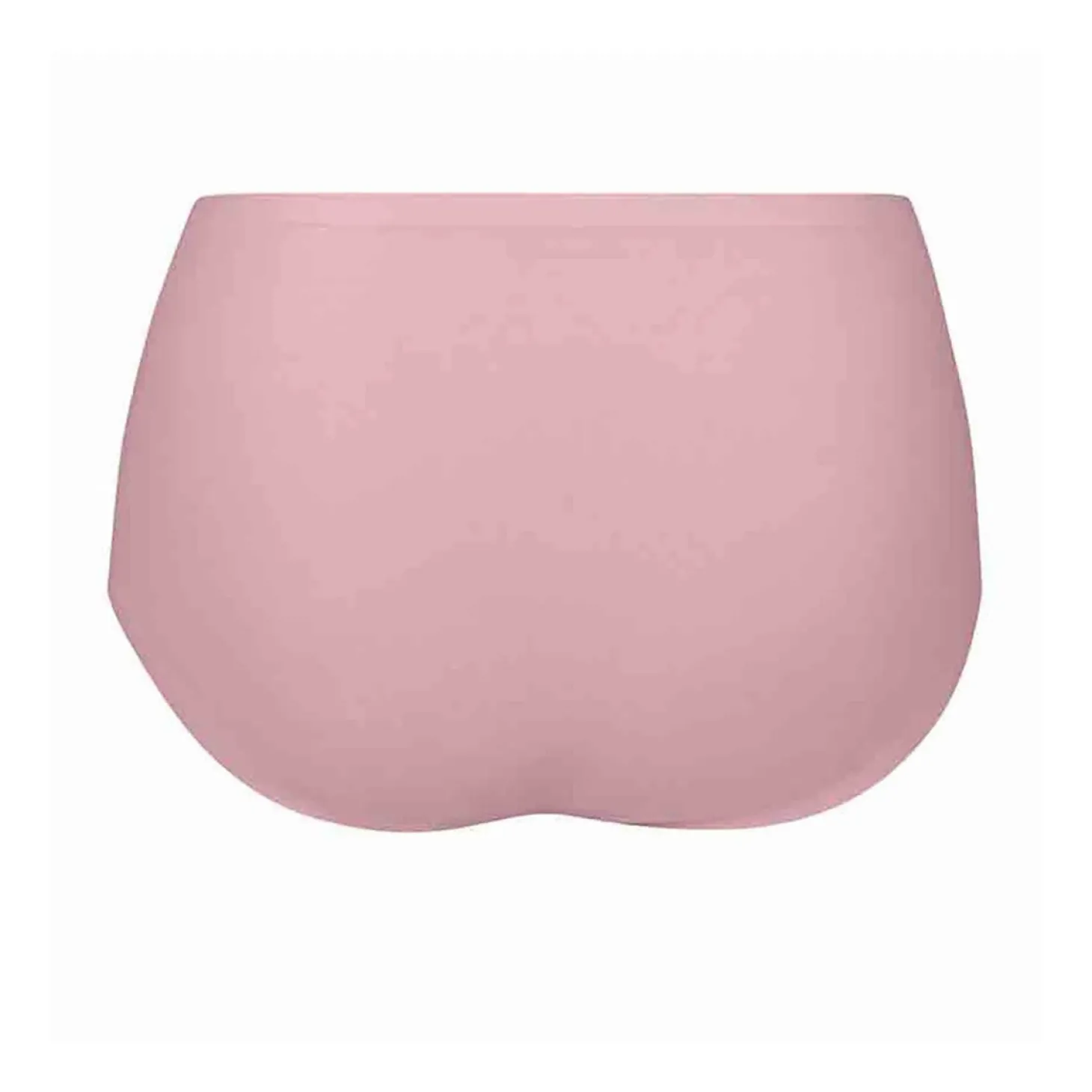 Anita Essentials Seamless High Waist Briefs