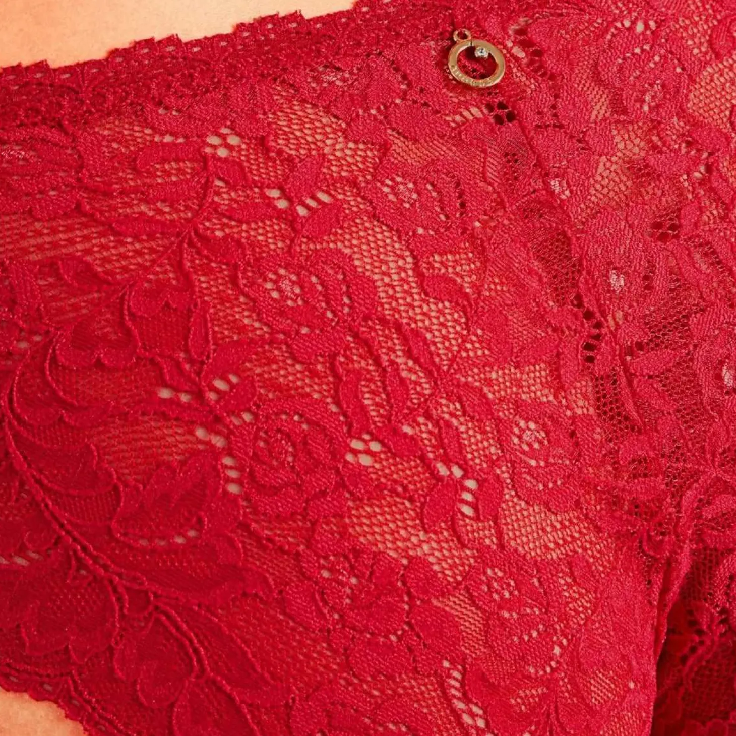 Aubade Rosessence Lace Italian Panty