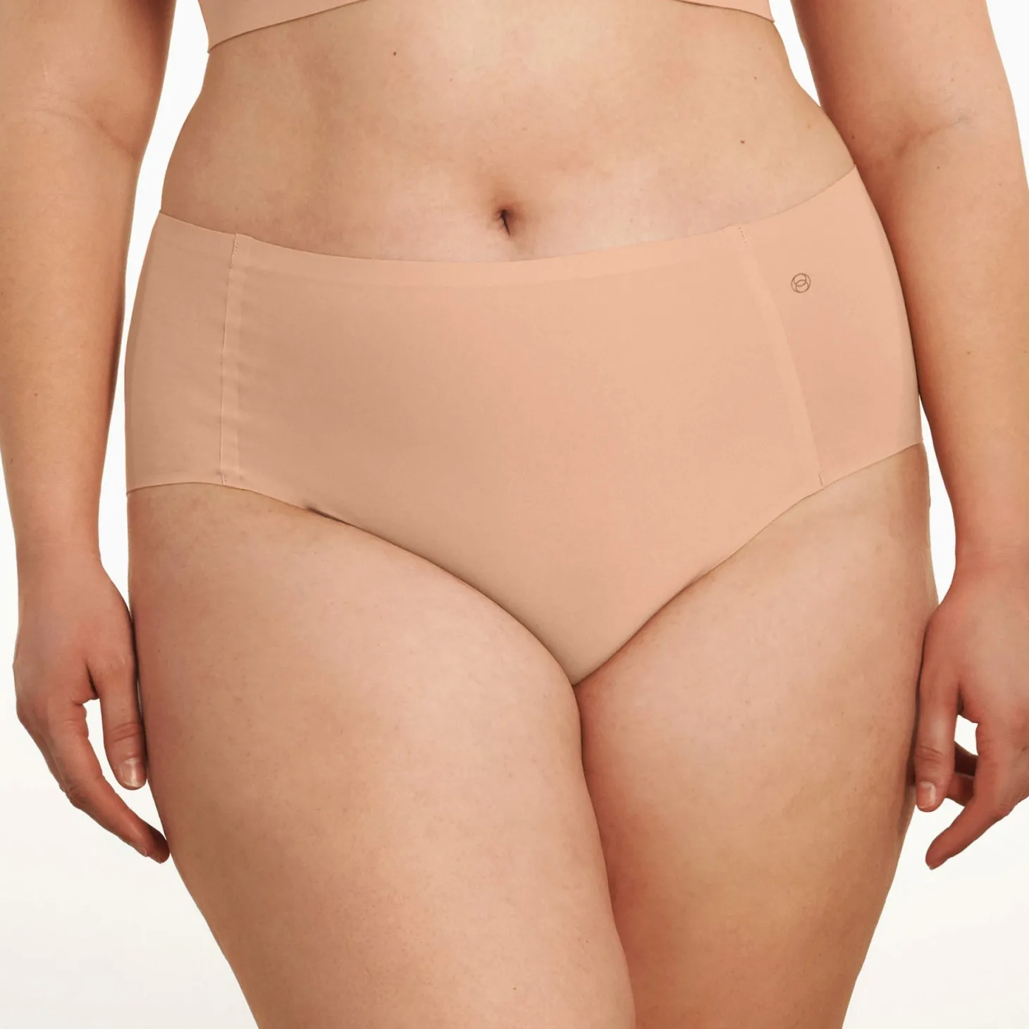 Evelyn & Bobbie Seamless High Waist Retro Briefs
