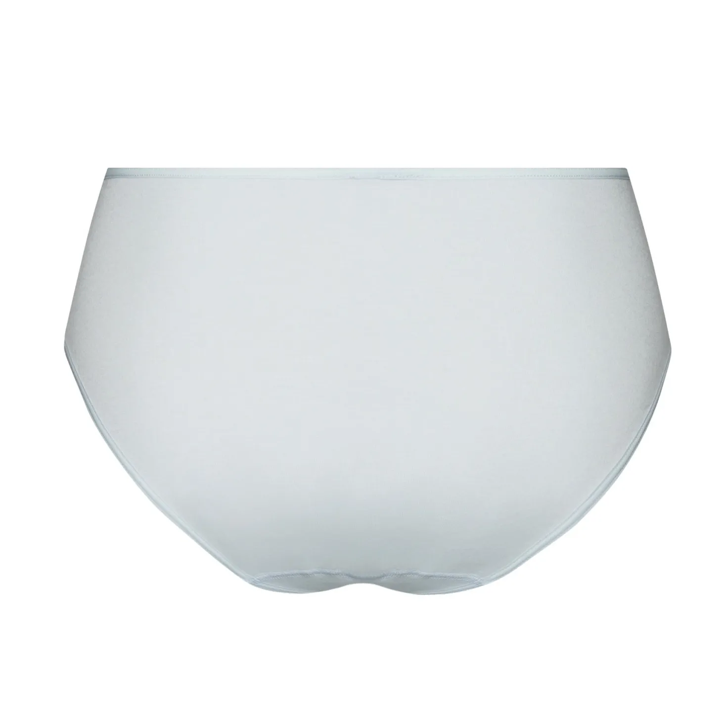 Hanro Anne Maxi Briefs