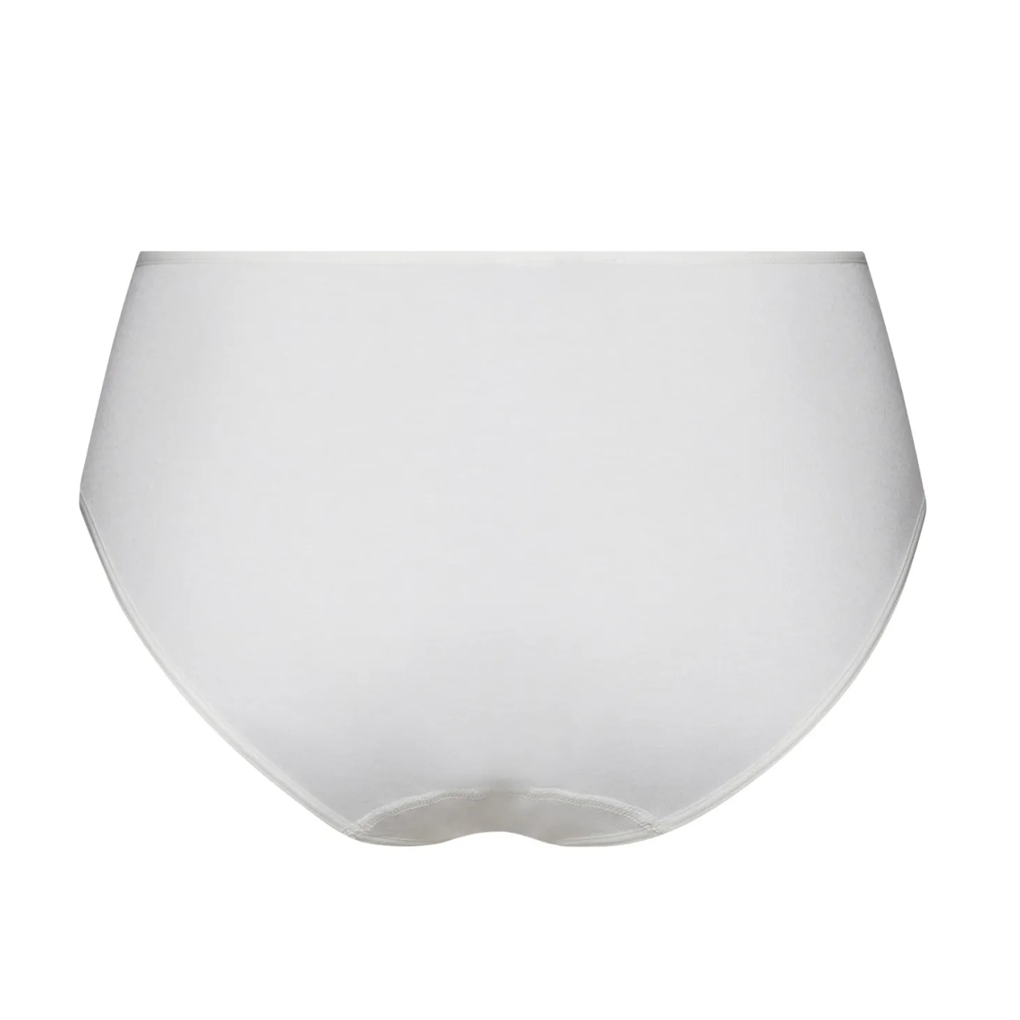 Hanro Anne Maxi Briefs