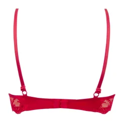 Lise Charmel Splendeur Soie Plunge Bra