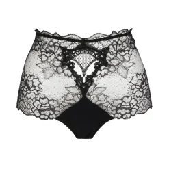 Lise Charmel Sublime en Dentelle Lace Retro Brief