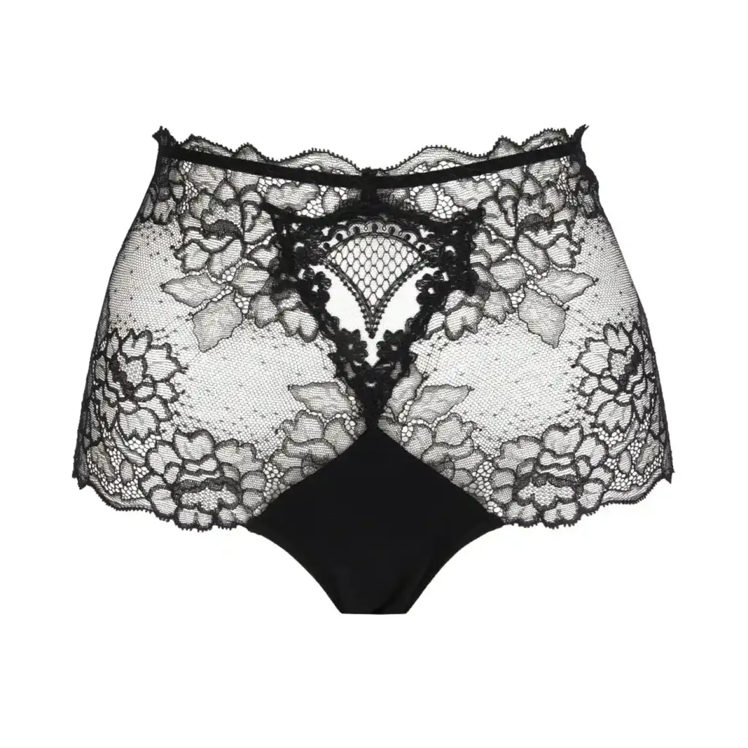 Lise Charmel Sublime en Dentelle Lace Retro Brief