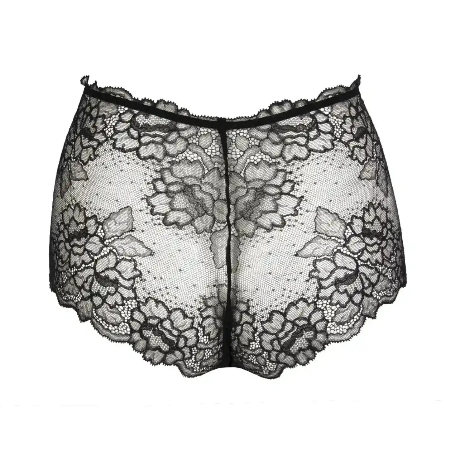 Lise Charmel Sublime en Dentelle Lace Retro Brief