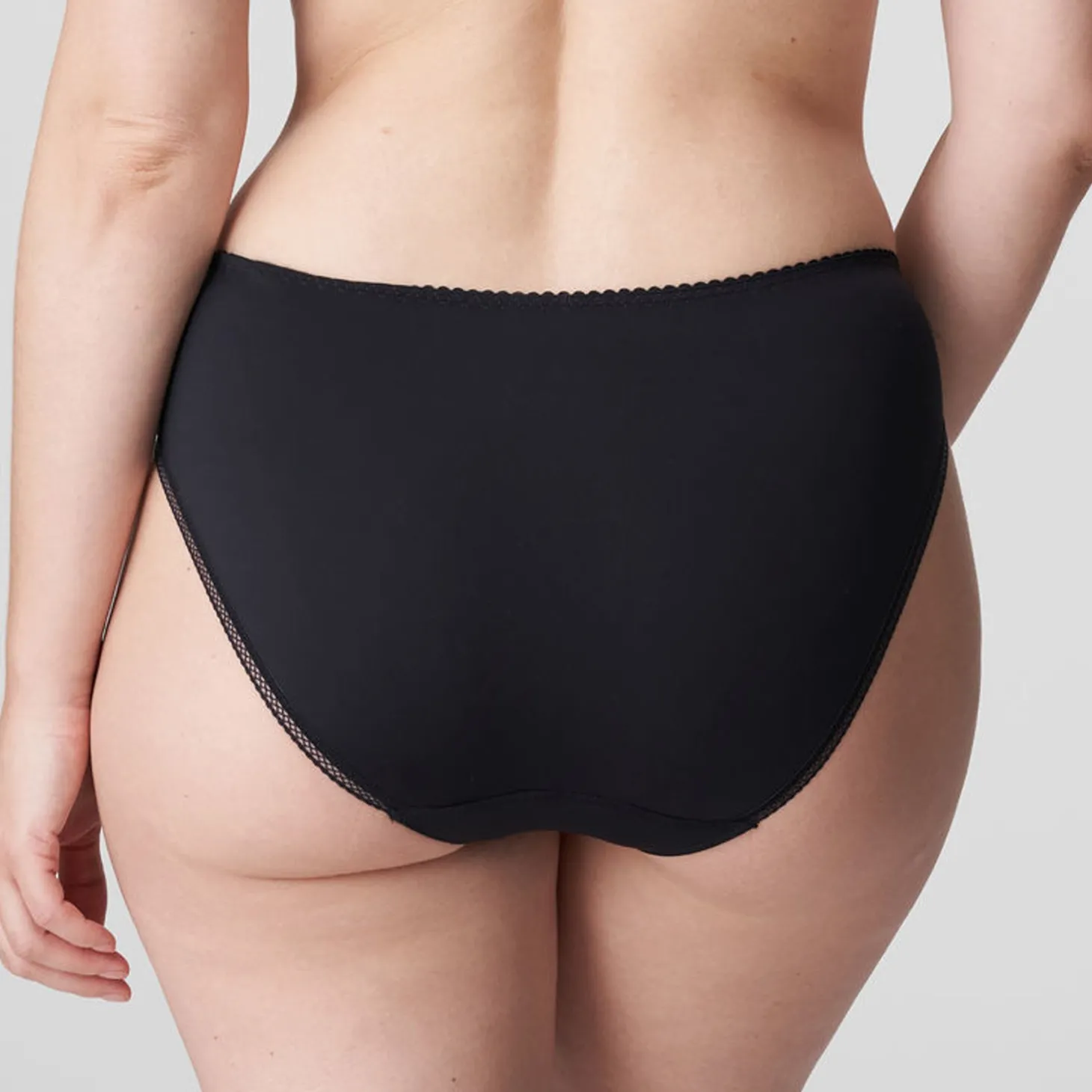 PrimaDonna Orlando Full Brief