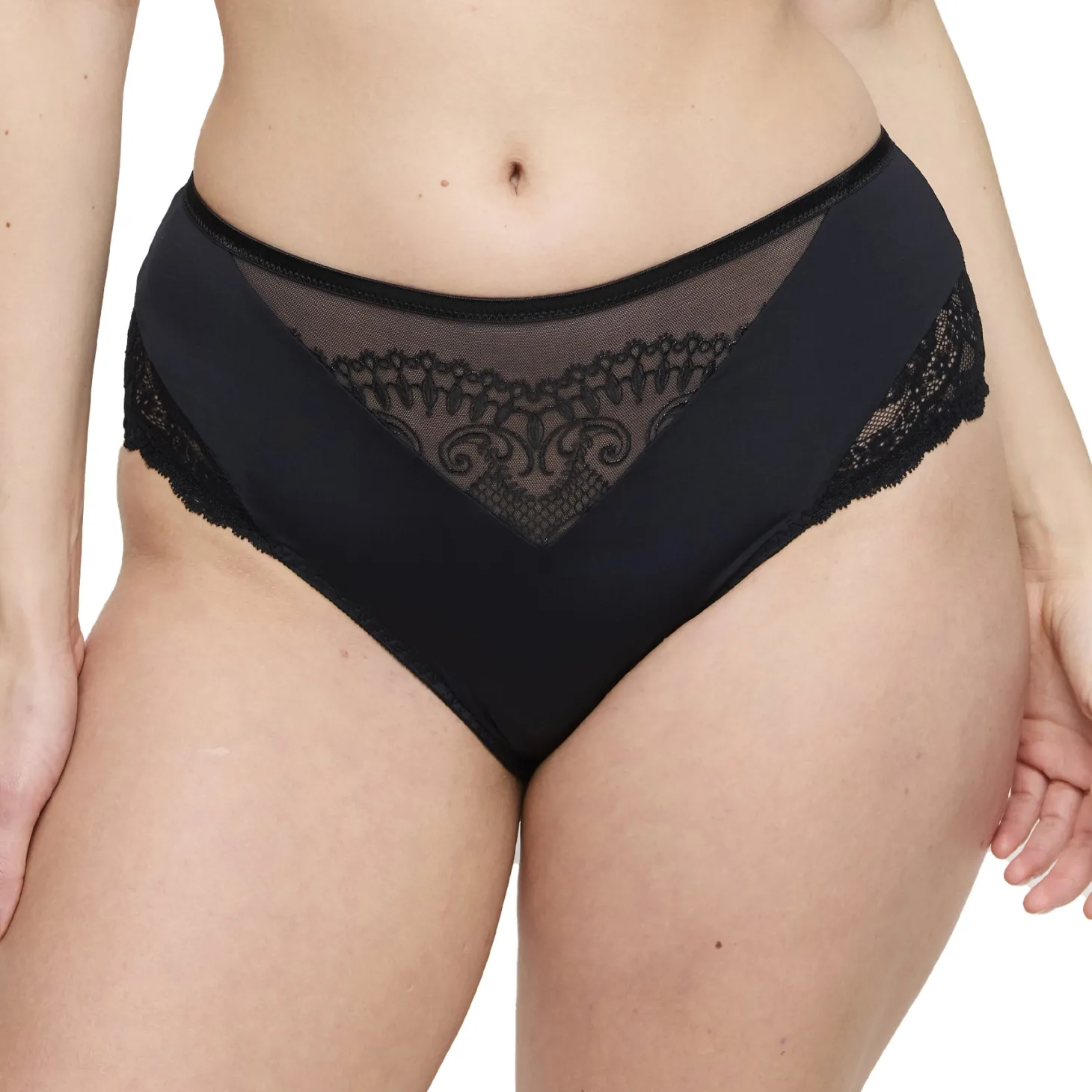 PrimaDonna Shimla Full Brief