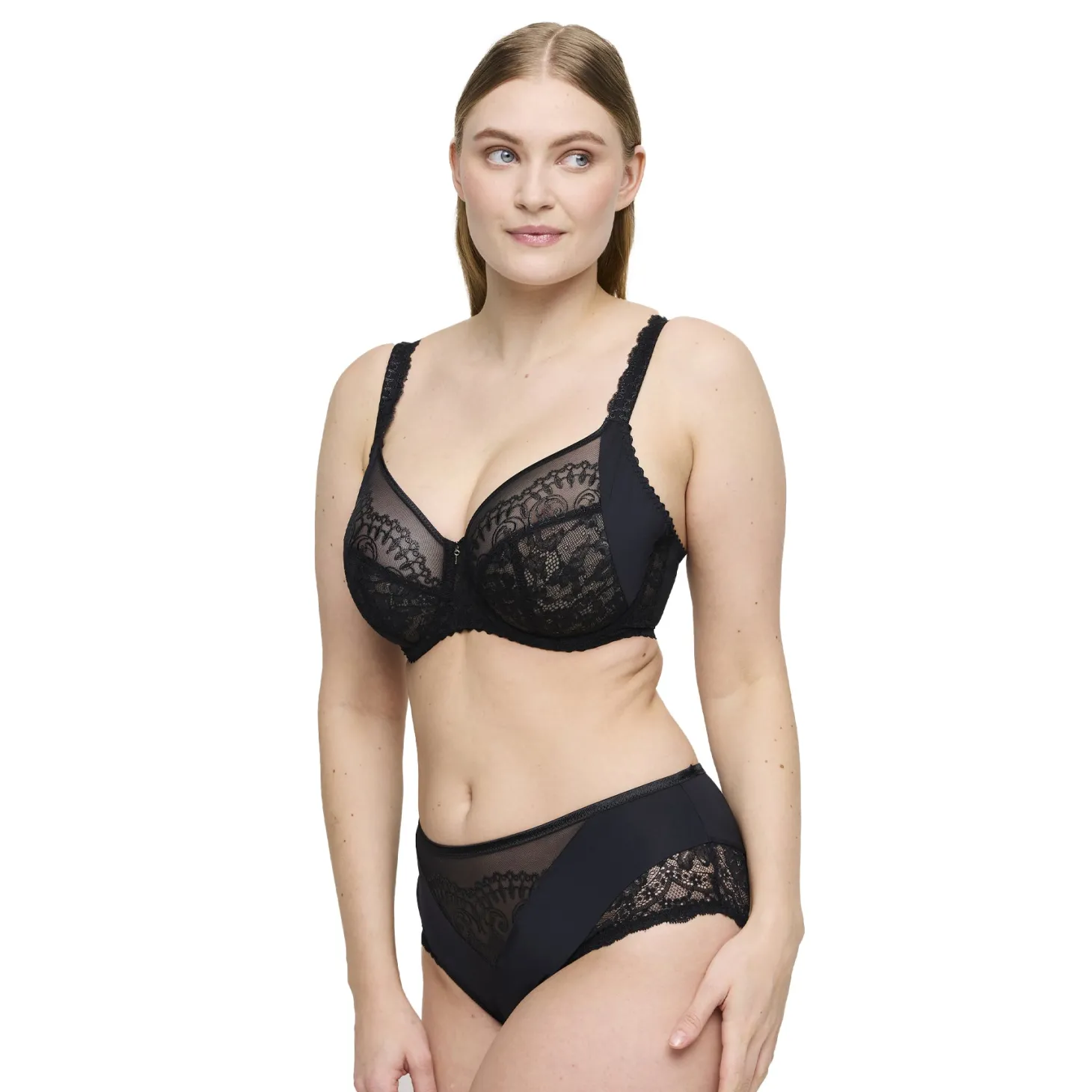 PrimaDonna Shimla Full Brief