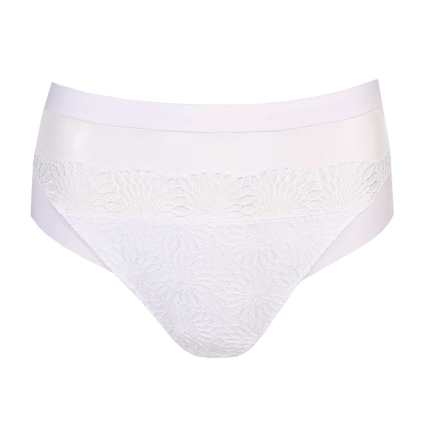 PrimaDonna Sophora Full Brief