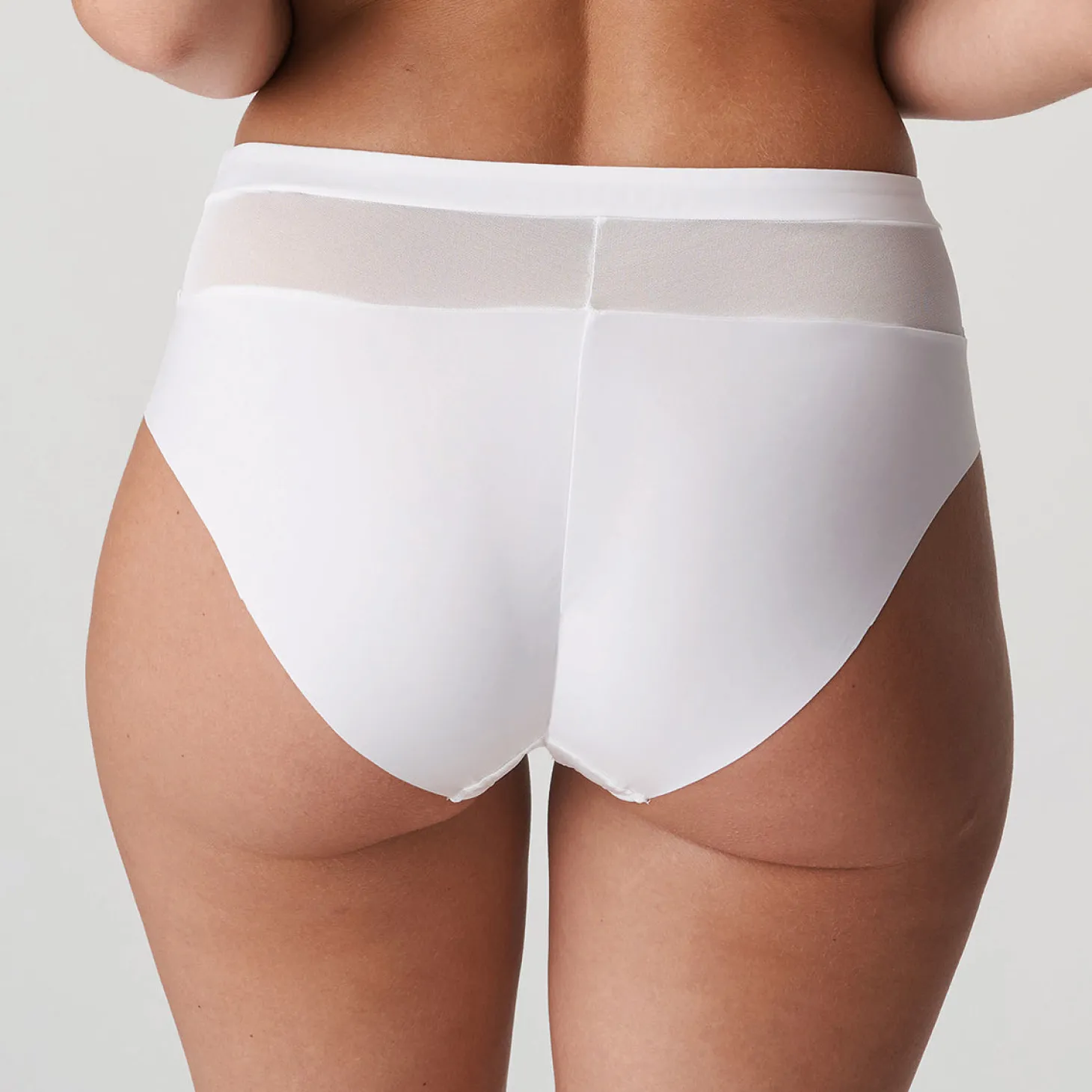 PrimaDonna Sophora Full Brief