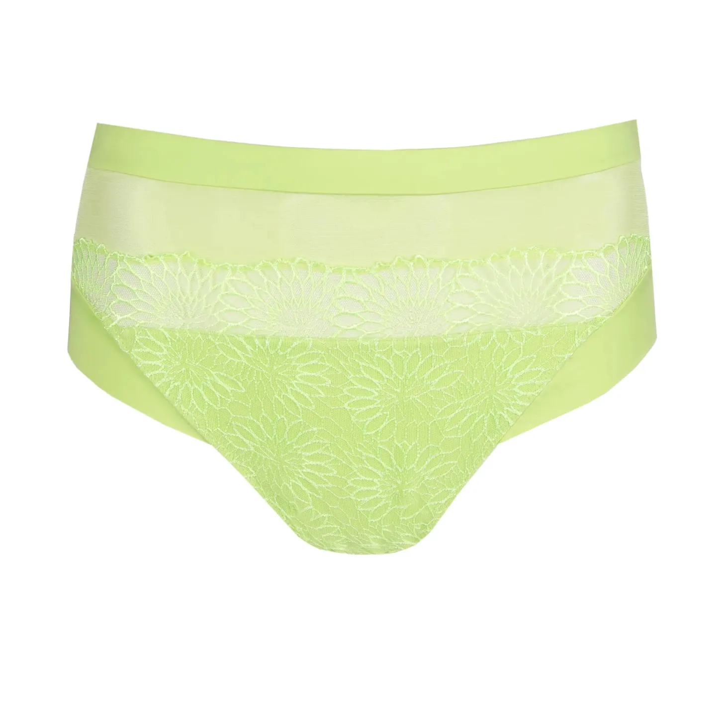 PrimaDonna Sophora Full Brief
